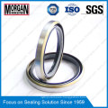 NBR/FKM Tb/BS Type Outer Skeleton Double Lips Oil Seal